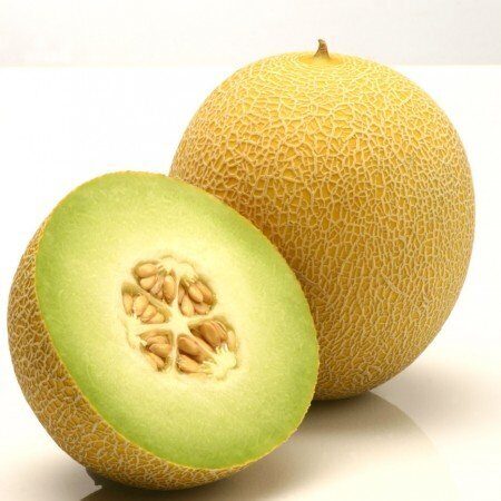Melone JUCAR RZ F1  100 gab Rijk Zwaan